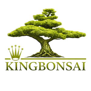 King Bonsai
