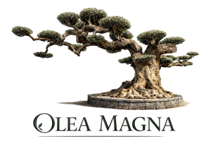 Olea magna